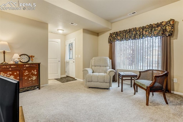 sitting room with light carpet