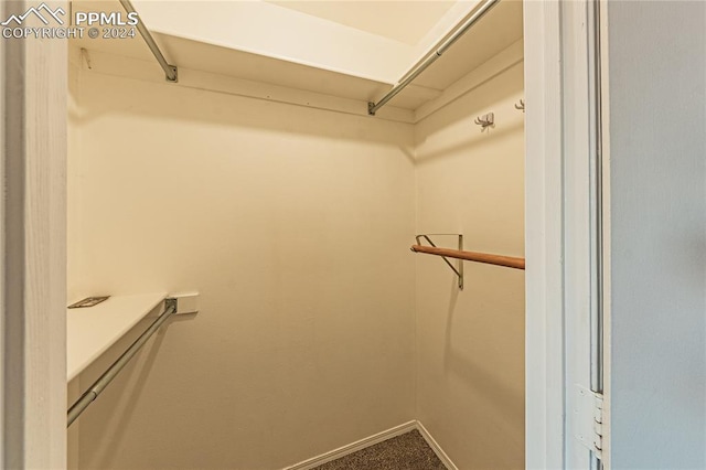 spacious closet with carpet floors