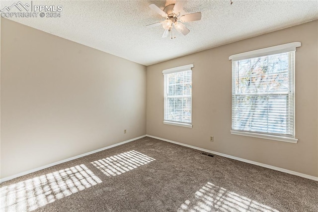 spare room featuring carpet, plenty of natural light, and a textured ceiling