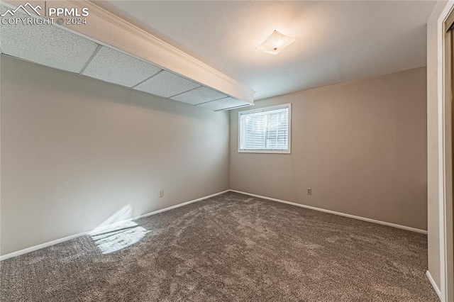 basement featuring a paneled ceiling and carpet floors