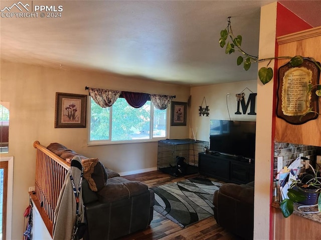 living room featuring hardwood / wood-style flooring