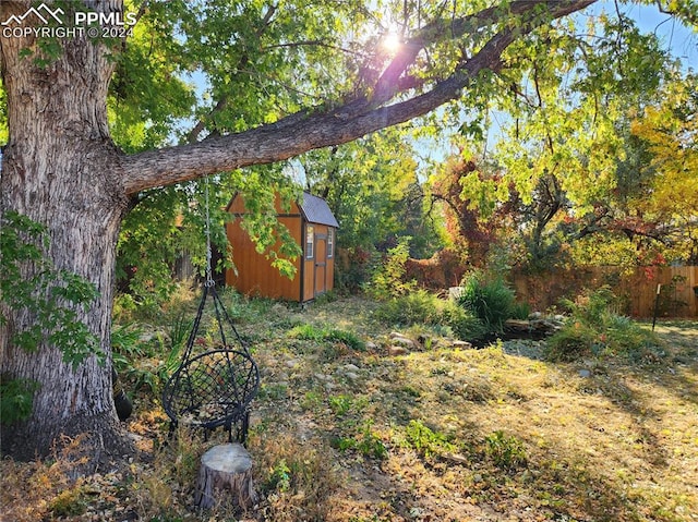 view of yard featuring a shed