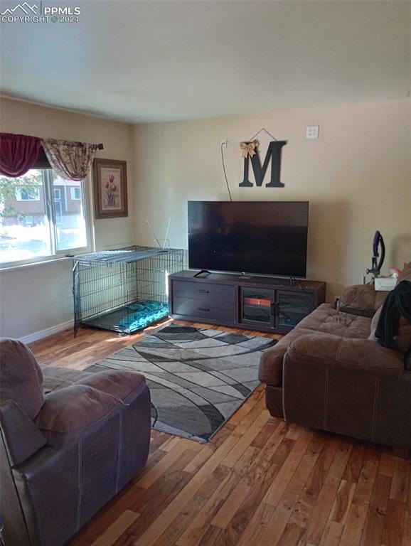 living room with hardwood / wood-style flooring