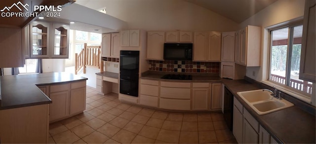 kitchen featuring lofted ceiling, sink, a healthy amount of sunlight, and black appliances