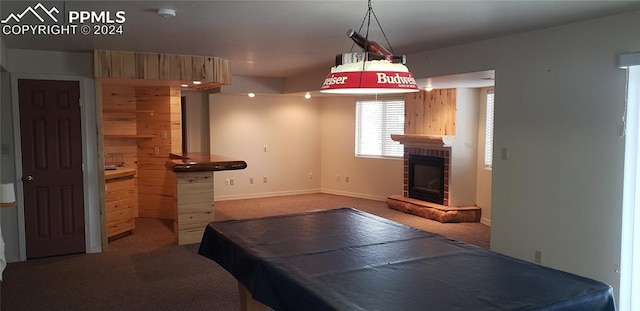 playroom with carpet flooring