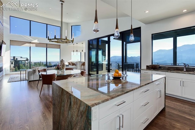 kitchen featuring open floor plan, dark wood-style flooring, a sink, and light stone countertops