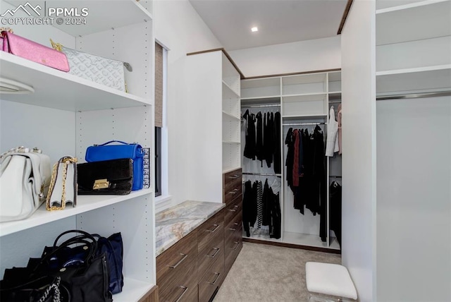 spacious closet featuring carpet flooring