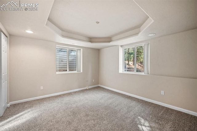 carpeted empty room with a raised ceiling