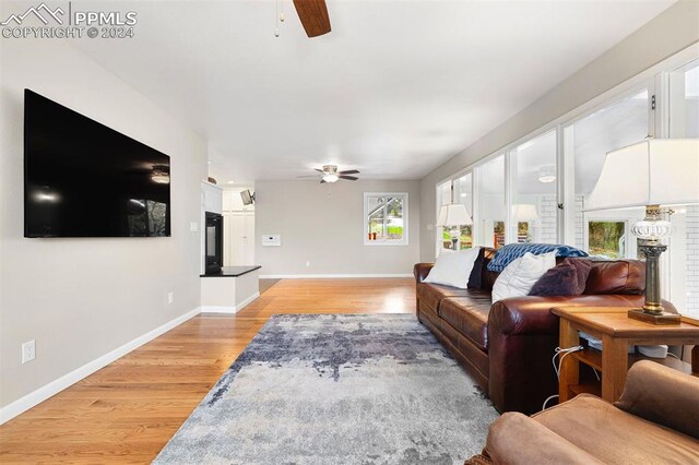 living room with light hardwood / wood-style floors and ceiling fan