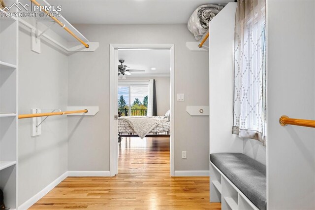 spacious closet with hardwood / wood-style floors and ceiling fan