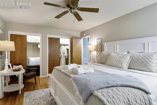 bedroom with multiple closets, hardwood / wood-style flooring, and ceiling fan