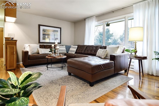 living room with light wood-type flooring