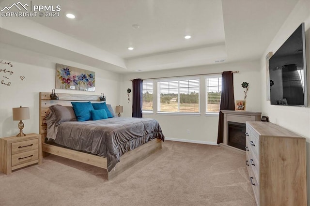 carpeted bedroom featuring a raised ceiling