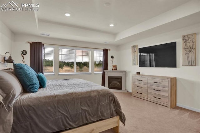 carpeted bedroom featuring a raised ceiling