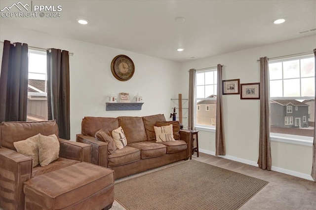 carpeted living room with plenty of natural light