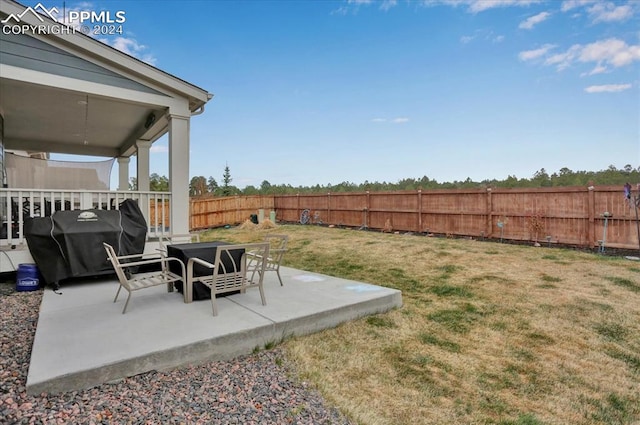 view of yard with a patio area