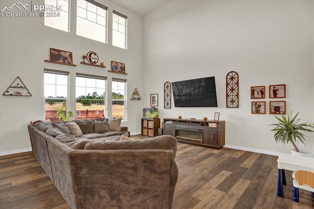 living room featuring dark wood-type flooring and a high ceiling