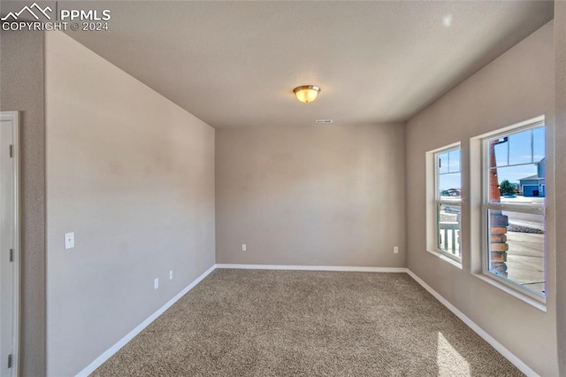 empty room featuring carpet