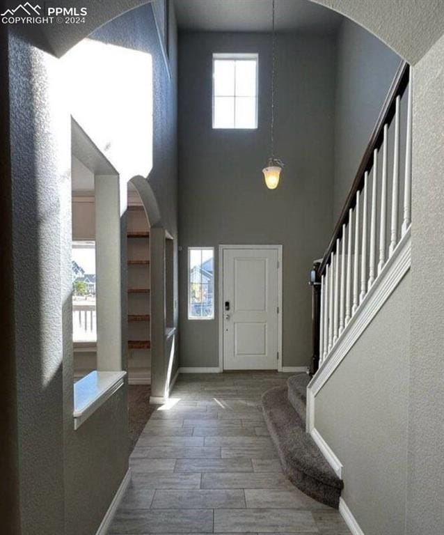 foyer with a towering ceiling and wood-type flooring