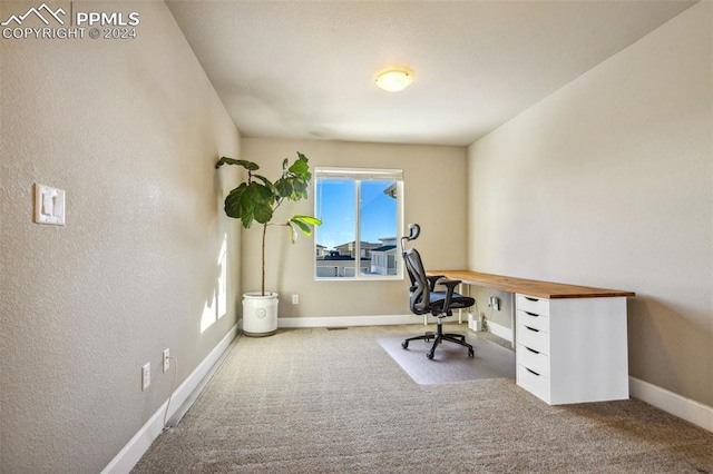 home office featuring light colored carpet