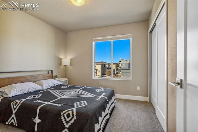 bedroom with carpet floors and a closet