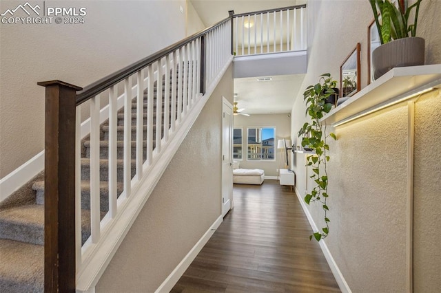 stairway featuring hardwood / wood-style floors and ceiling fan