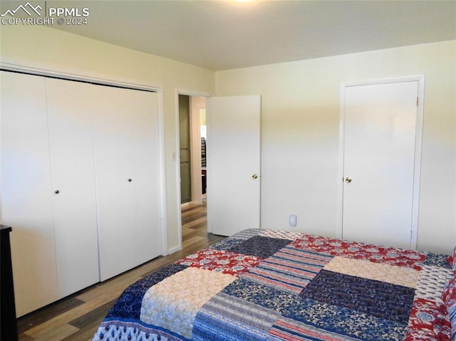 bedroom with a closet and hardwood / wood-style flooring