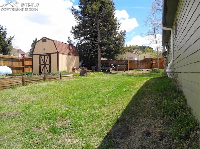 view of yard with a storage shed