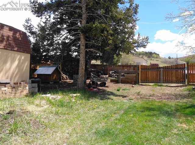 view of yard featuring a storage shed