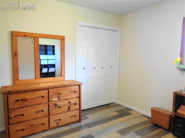 bedroom featuring a closet and wood-type flooring