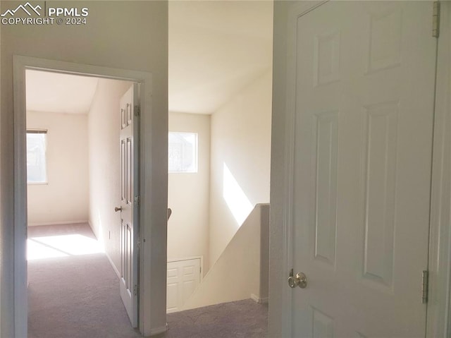 hallway featuring carpet