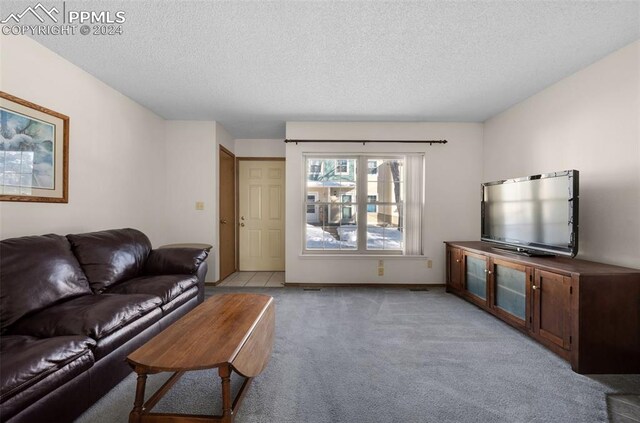 living room with a textured ceiling and light carpet