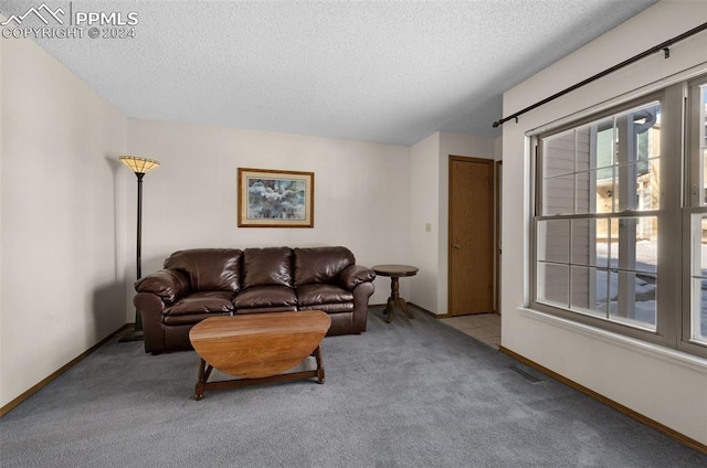 carpeted living room with a textured ceiling