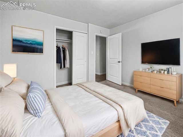 bedroom with dark colored carpet and a closet