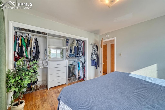 bedroom featuring light hardwood / wood-style floors and a closet