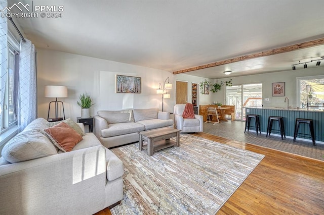 living room with hardwood / wood-style floors and sink