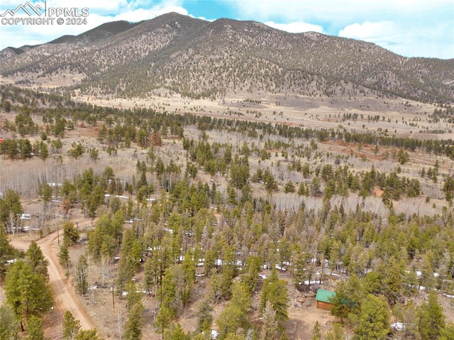 property view of mountains