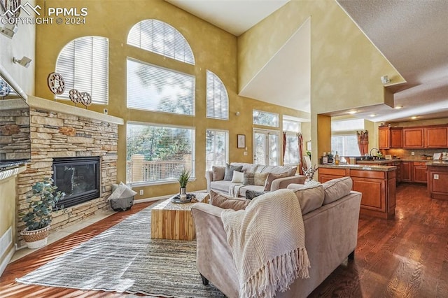 living room with dark hardwood / wood-style flooring, a healthy amount of sunlight, and a high ceiling