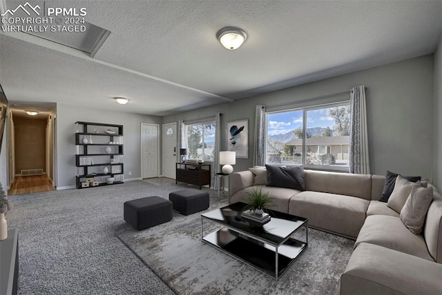 carpeted living room with a textured ceiling