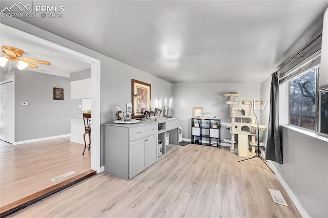 kitchen with ceiling fan and light hardwood / wood-style flooring