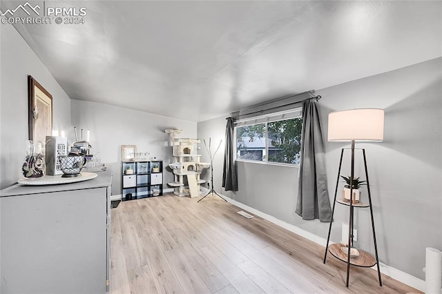 interior space with light wood-type flooring