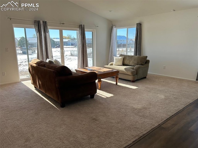 living room featuring vaulted ceiling, hardwood / wood-style flooring, and a healthy amount of sunlight