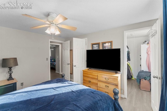 bedroom with ceiling fan and light wood-type flooring