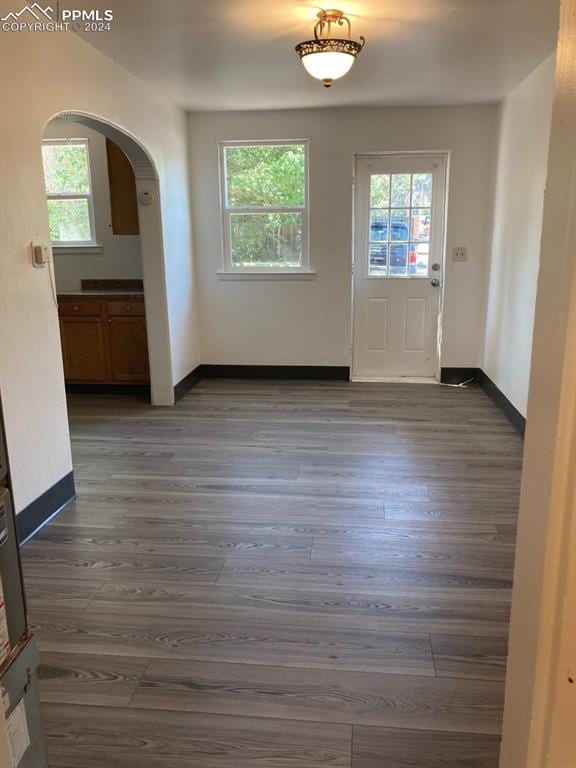 interior space with dark wood-type flooring