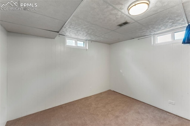 basement with light carpet