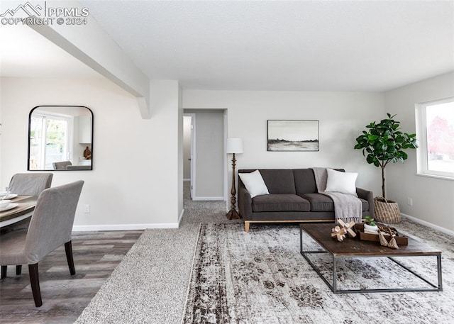 living room with hardwood / wood-style flooring