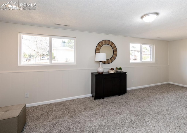 empty room with carpet flooring and a textured ceiling