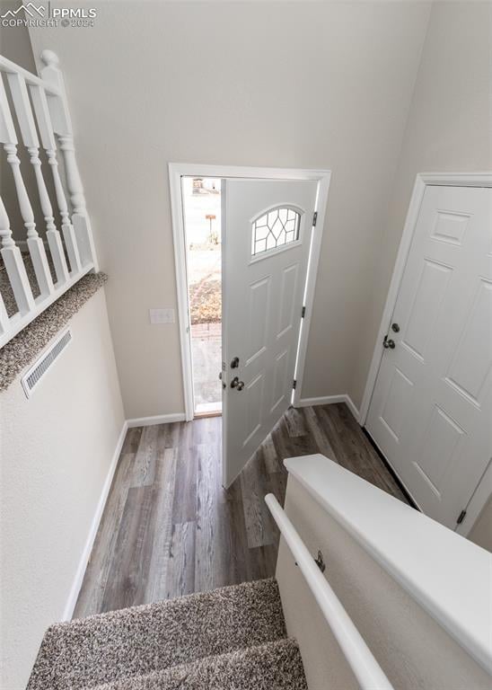 entryway featuring dark wood-type flooring