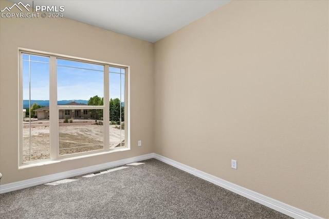 view of carpeted spare room