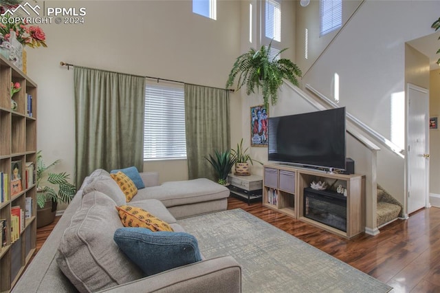 living room featuring a towering ceiling and dark hardwood / wood-style floors